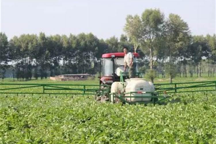 荔枝能卖的时候,脱果落果现象特别严重,有什么办法解决？