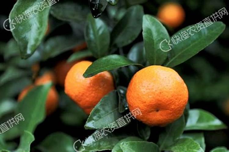 从硫磺中怎么提炼硫酸