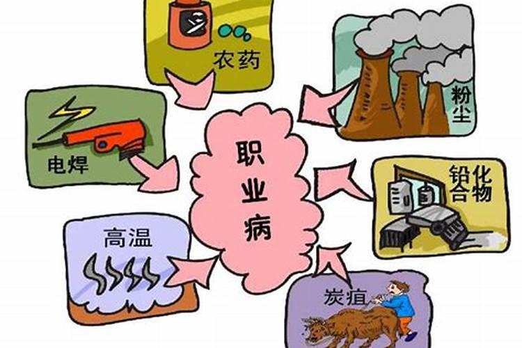 有一种树为什么一年四季都不会掉叶子？