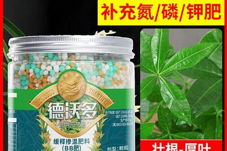 幸福树专用肥料