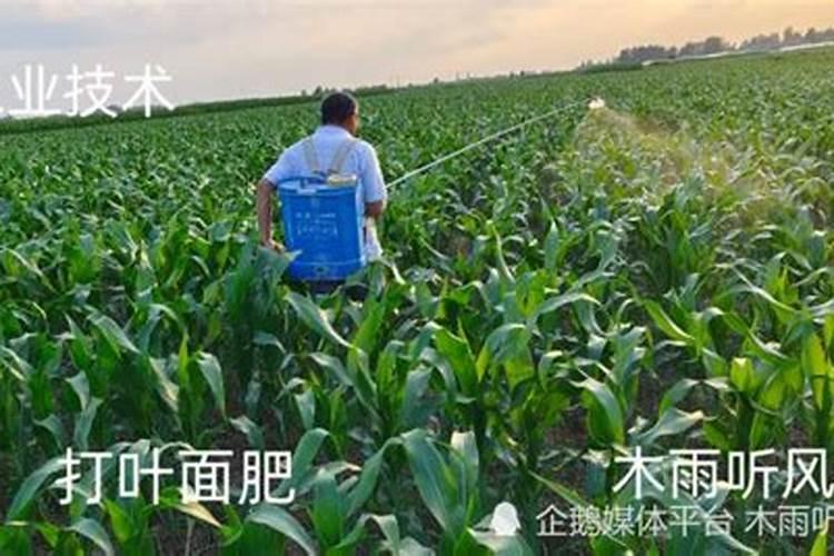 鱼塘用化肥追肥,一亩用几斤