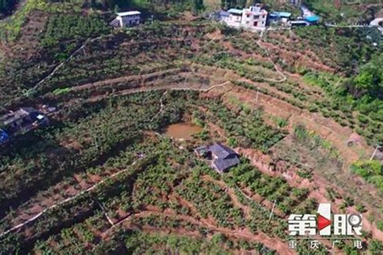 中科健康上海分公司怎么样