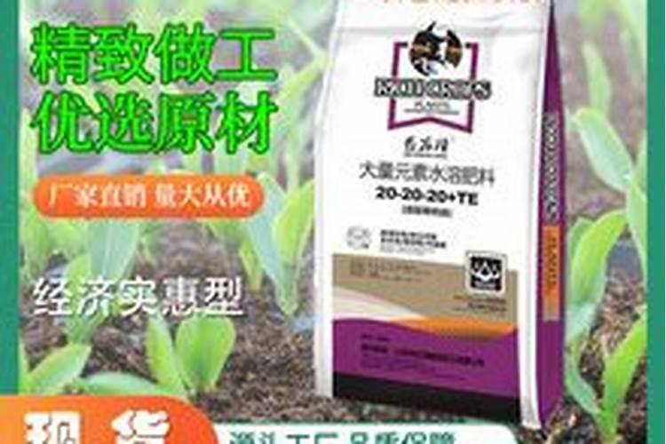 新买的海棠花,怎样上盆？