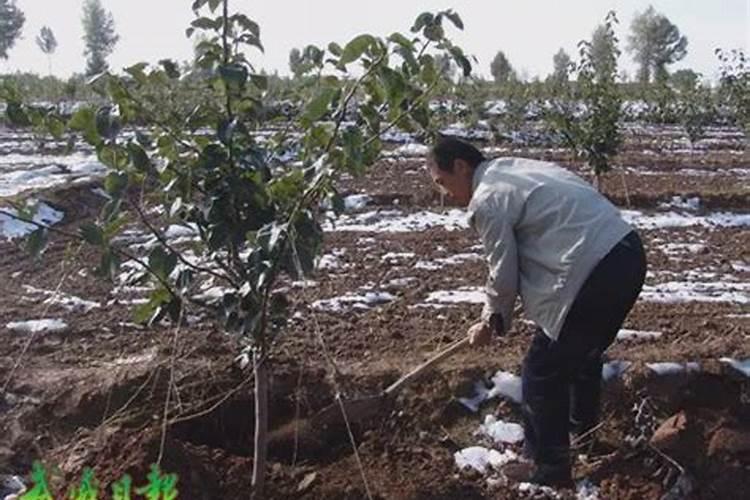 挪威肥料价格多少