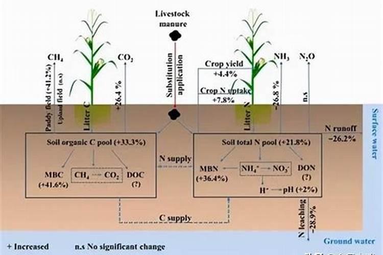 钾肥和磷肥分别是什么颜色的？