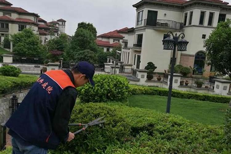 长沙草字头绿化工程有限公司施工注意事项