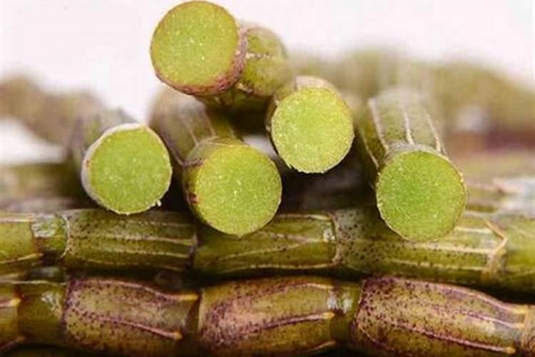 铁皮石斛可以用肥料吗？哪种好点？