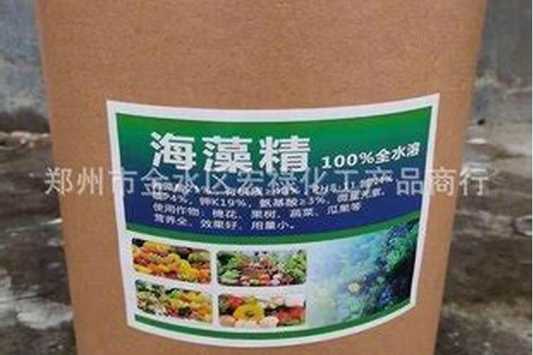 杜鹃花带芽怎么施肥？施肥需要水吗？