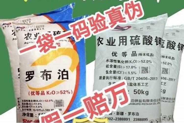 青菜有虫用什么方法可以杀虫