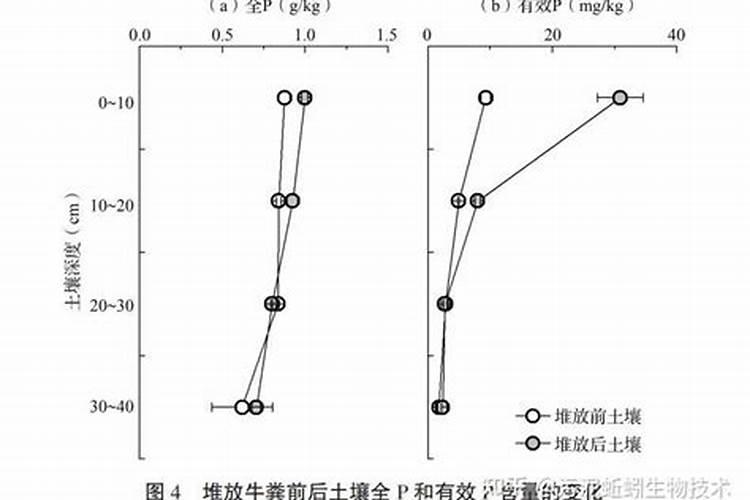 菜籽饼怎么发酵做肥料最简单的方法