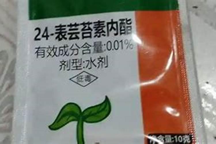 花草浇什么肥料合适