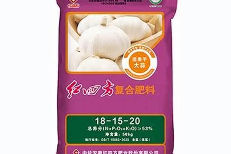 文竹能不能浇叶子(文竹可以喷叶面肥吗)