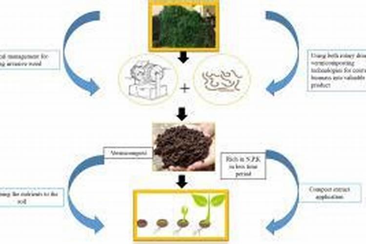堆肥的堆制条件是什么