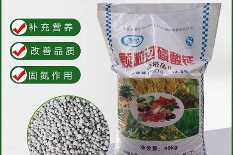 金边吊兰用什么盆好