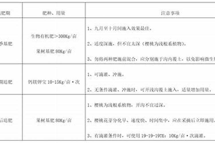 大棚樱桃树啥时候喂钙肥？