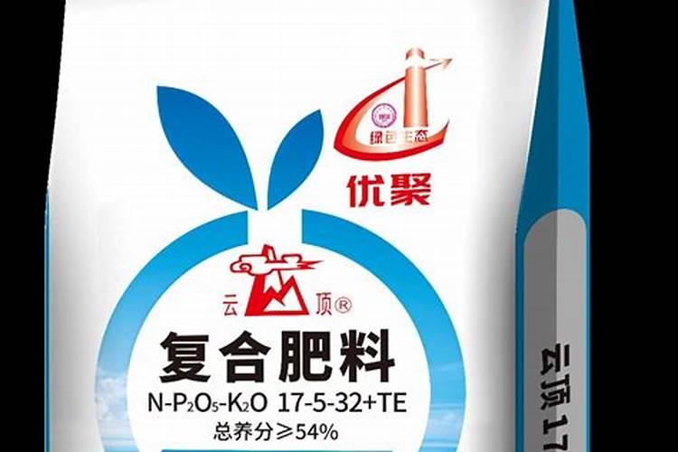 聚谷氨酸在玉米上什么时候用