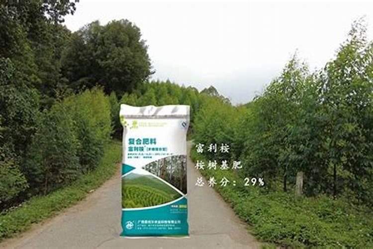幸福树施肥用什么肥料才能旺盛 使用复合肥效果好