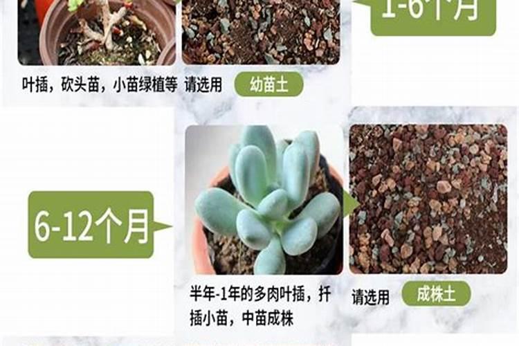 淘米水做面膜有什么好处