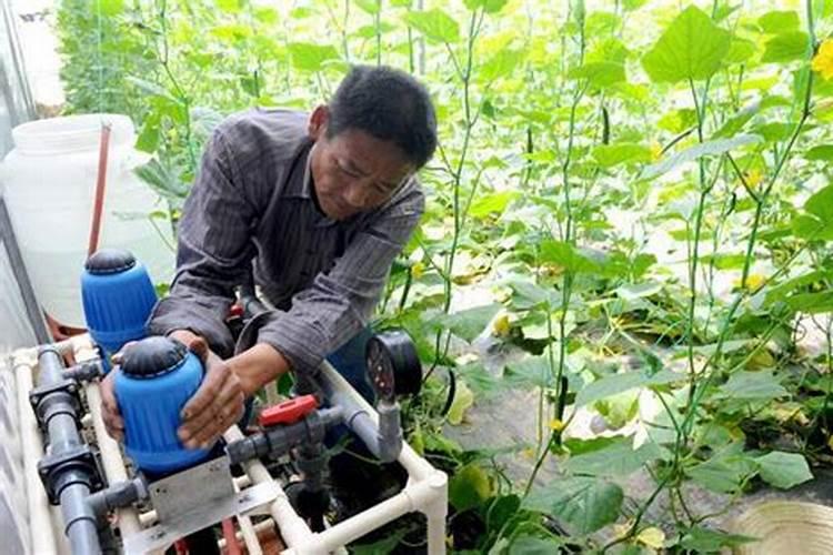 有机肥和无机肥的优点缺点各是什么