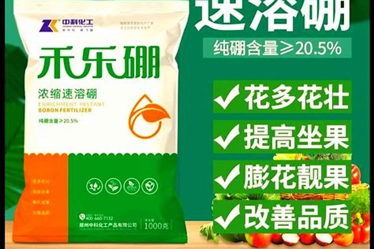 一亩地用多少硼肥 如何正确施硼肥