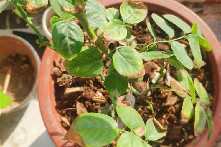 澳士顿电热水器出现E9是什么问题？