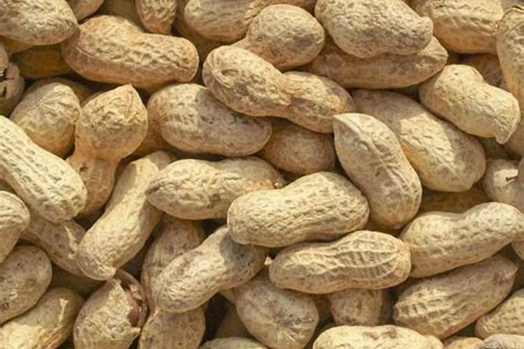 花生追肥用什么肥料好