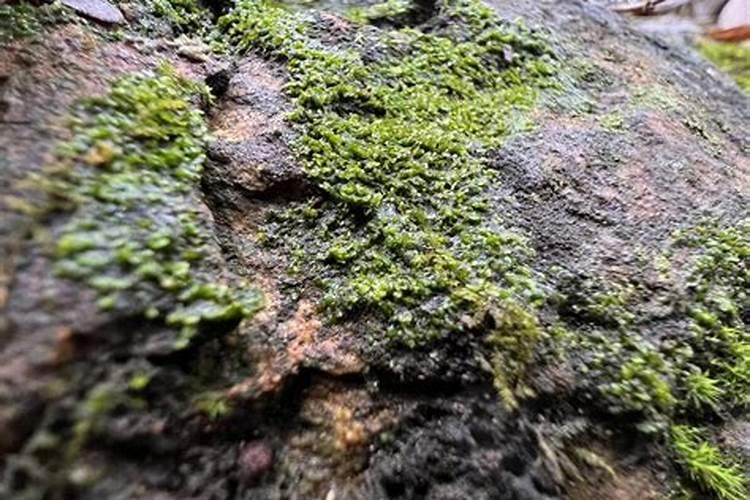 一克等于多重？