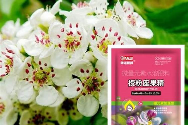 果树增甜用什么肥料好