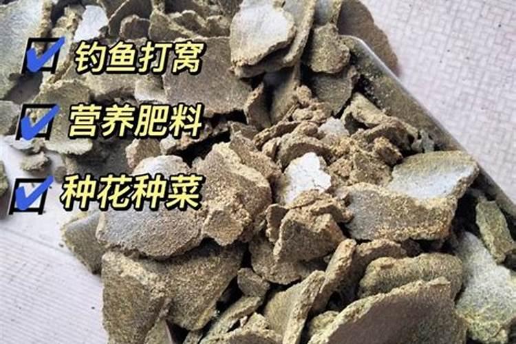 饼肥是什么肥,饼肥养花的使用方法
