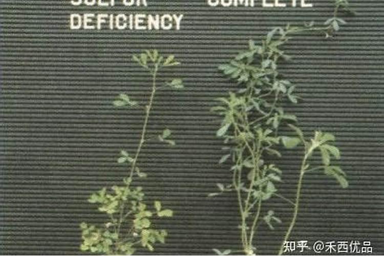 形成五元环和六元环的螯合物,要求配体应具备什么条件？