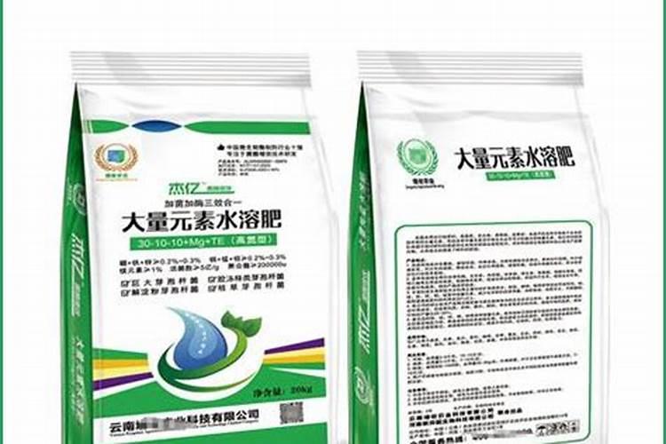 打瓜的种植方法与管理