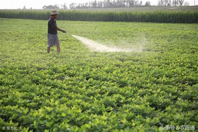 在农历七八月成熟有哪些好的橙子品种给我们推荐一下