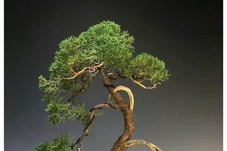 请问,种植大蒜是用绿化钾复合肥好还是用硫酸钾复合肥好？？？