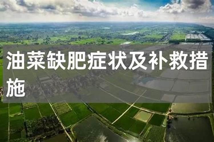 青岛易宸丰宝生物科技有限公司怎么样？