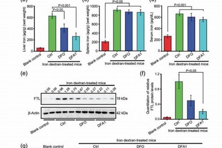 果树需要施什么肥最好