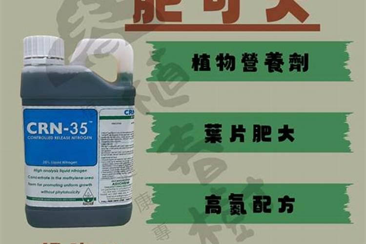 多肉植物怎么施肥 多肉植物施肥时间方法及注意事项