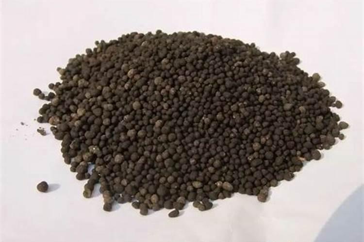 肥料羊粪出现一些白毛还可以用吗？