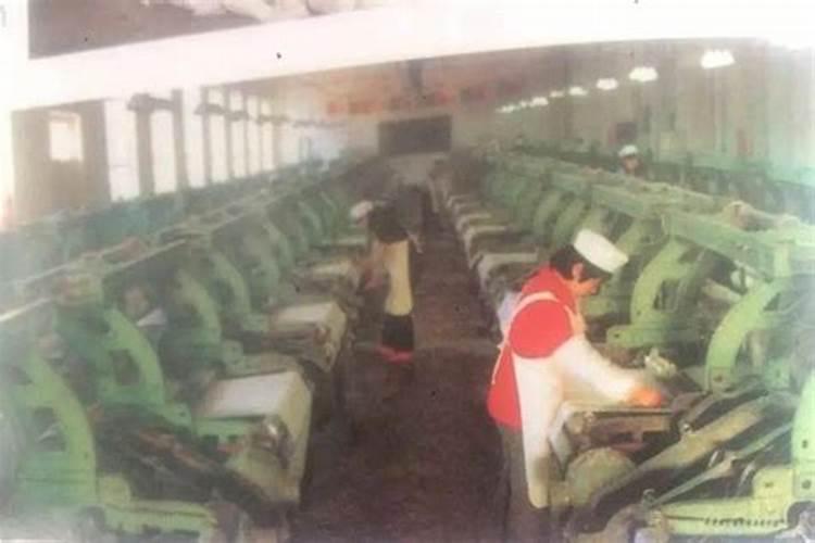 养花需要什么基质肥料最好
