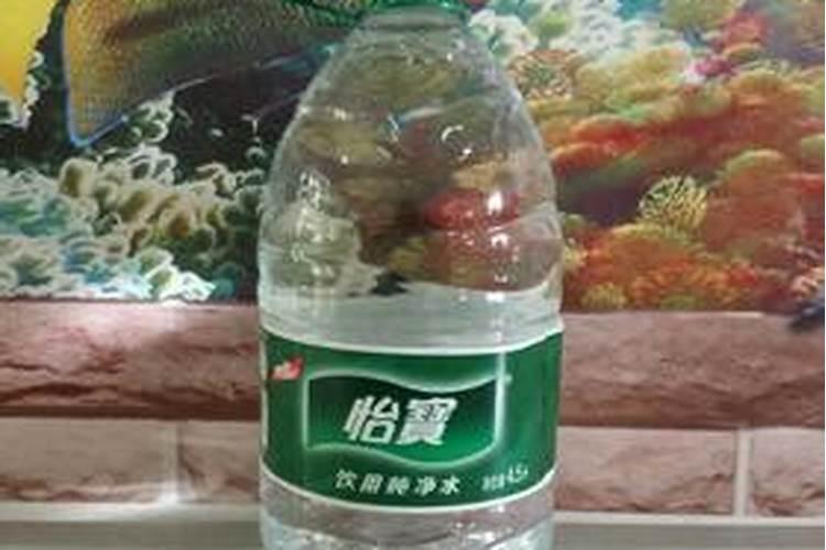 反硝化作用的最终产物