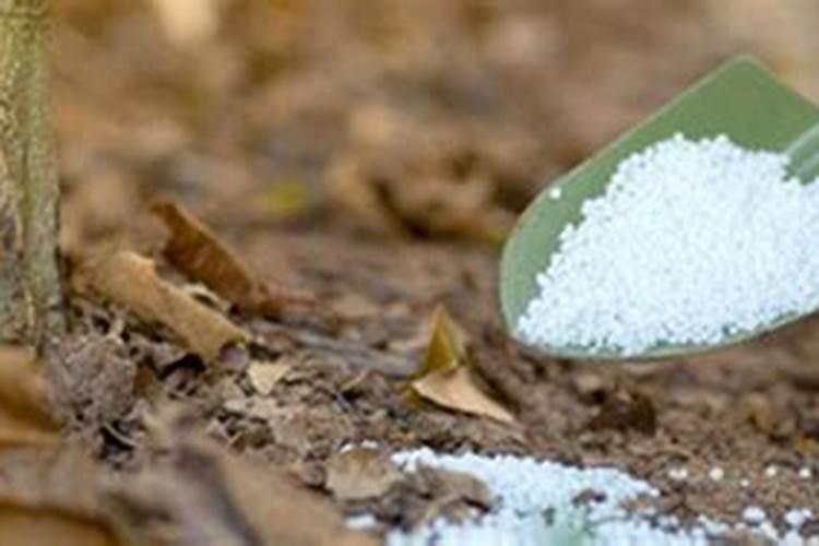 底肥施氮不能过量,过量有哪些危害？