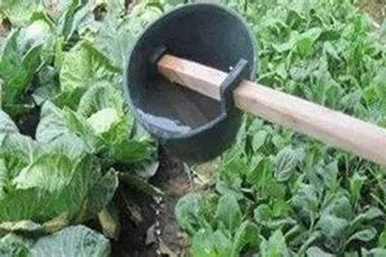 蚕的粪便可以做肥料吗