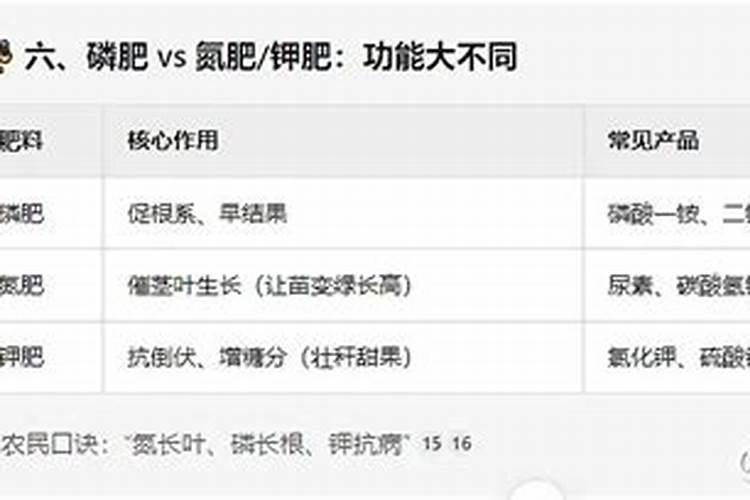 复合肥适合养什么花卉植物