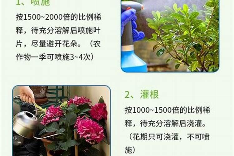 花肥一般用什么肥料 一般用什么肥料作为花肥