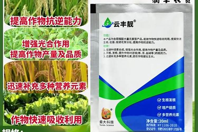 焦作哪里有卖花肥的加工厂