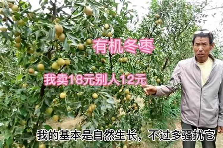 小麦除草剂年前打好还是年后打好