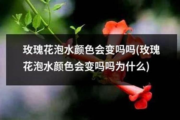 磷肥溶于水的现象