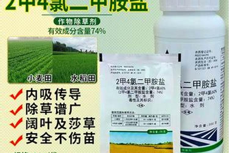 红薯使用什么肥料好