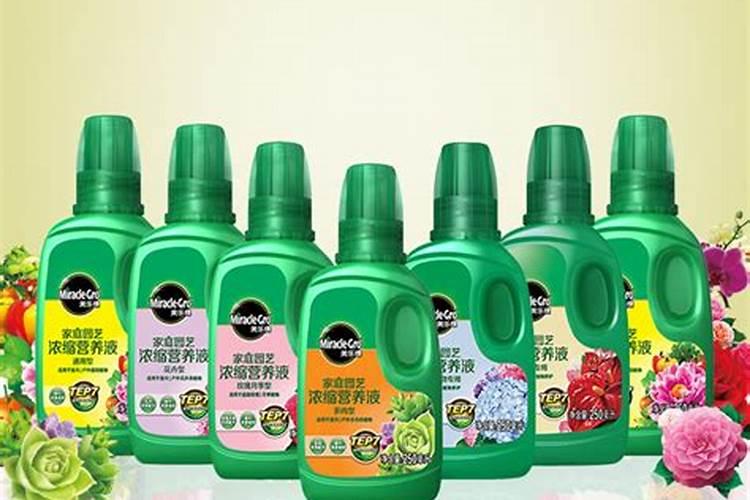 水培花卉用哪些肥