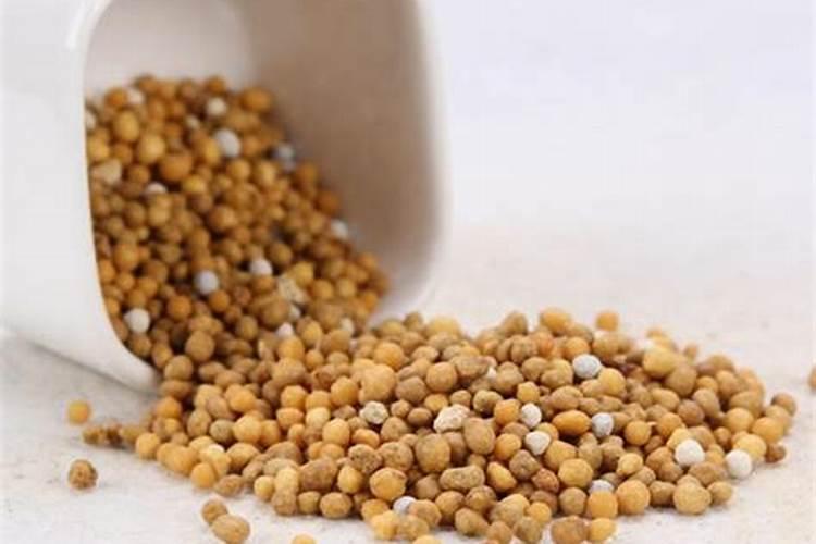 花叶子发黄怎么解决？