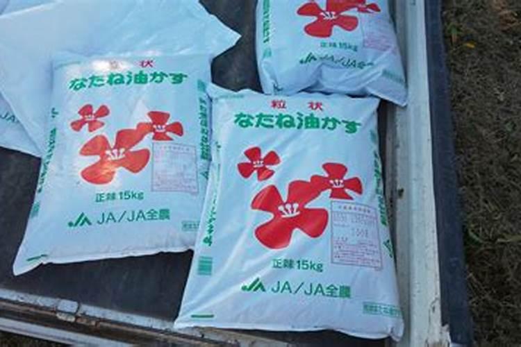 冬桃管理技巧有哪些？
